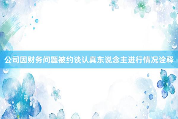 公司因财务问题被约谈认真东说念主进行情况诠释